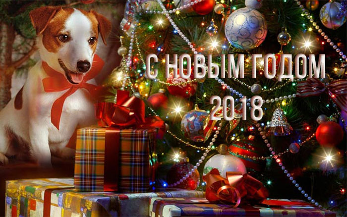 � ����� 2018 �����!